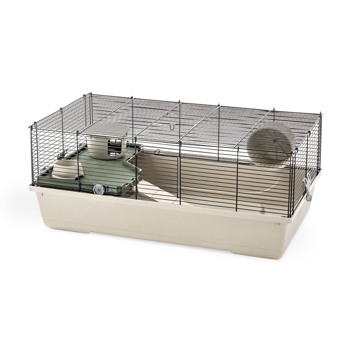 Hamster 21