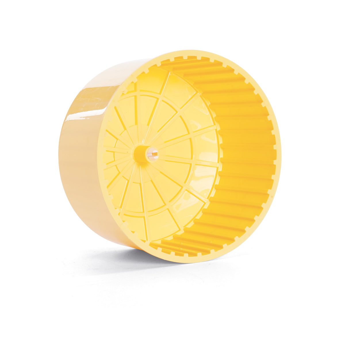 Hamster Wheel